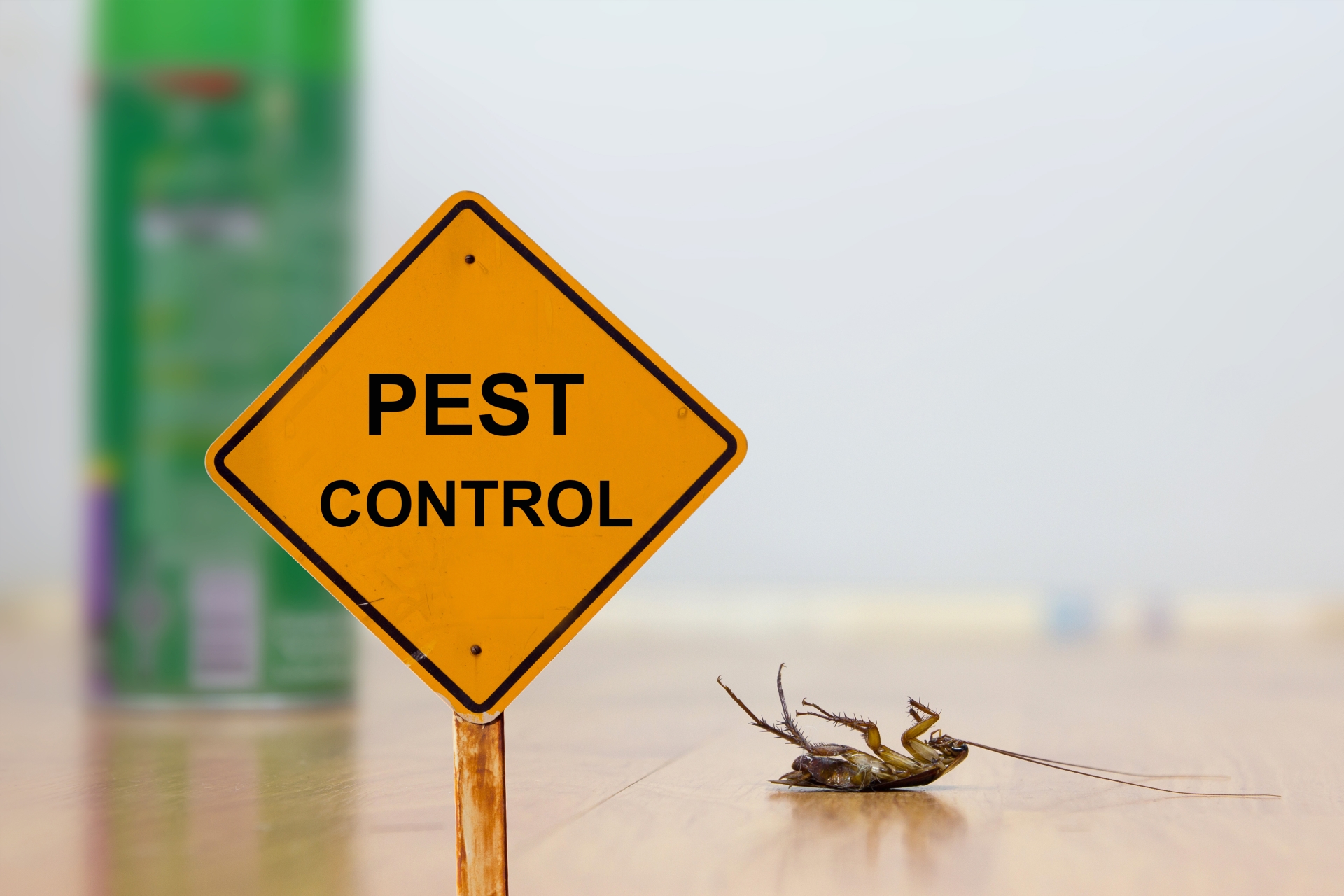 24 Hour Pest Control, Pest Control in Westcombe Park, SE3. Call Now 020 8166 9746